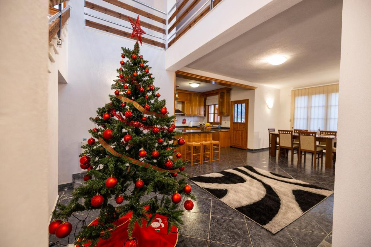 Τrικαλα - Μετεorα-Villa Toscana Трикала Экстерьер фото