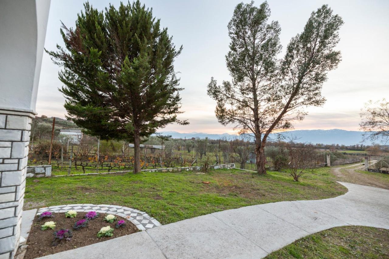 Τrικαλα - Μετεorα-Villa Toscana Трикала Экстерьер фото